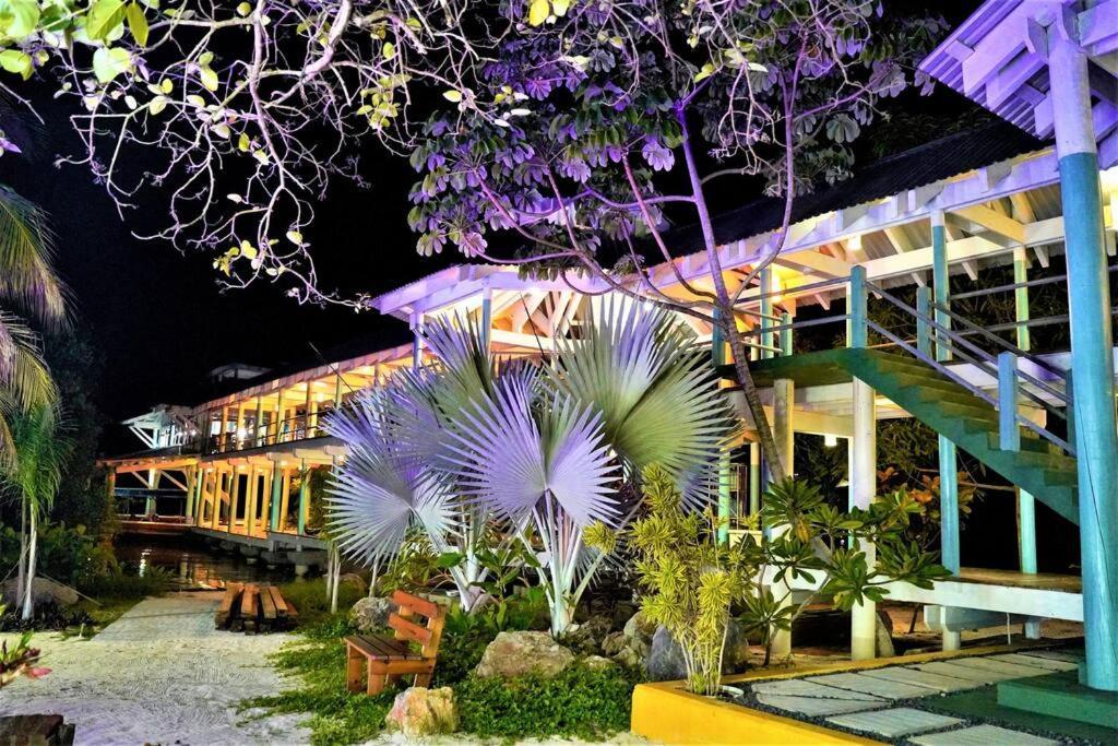 The Dock Resort Over Water Retreat West End Kültér fotó
