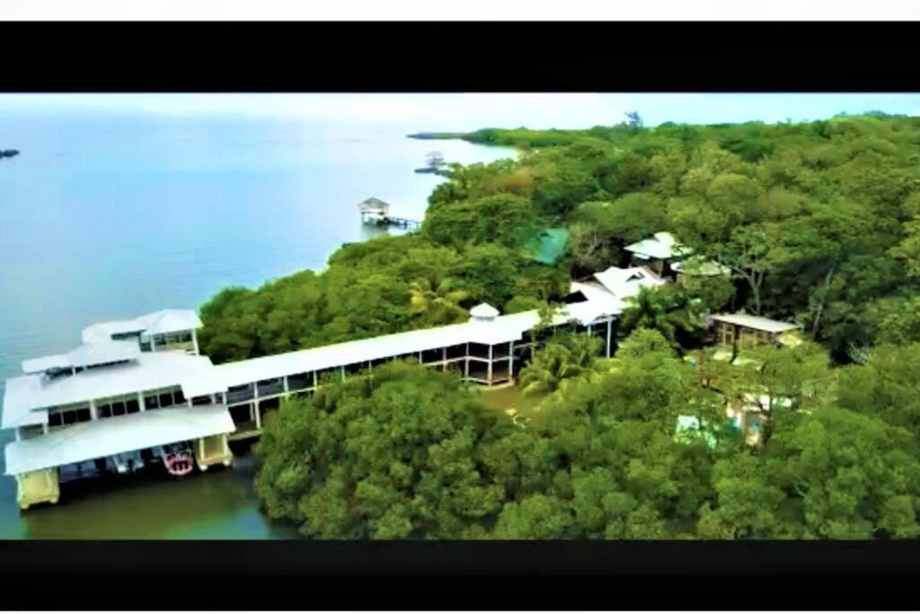 The Dock Resort Over Water Retreat West End Kültér fotó
